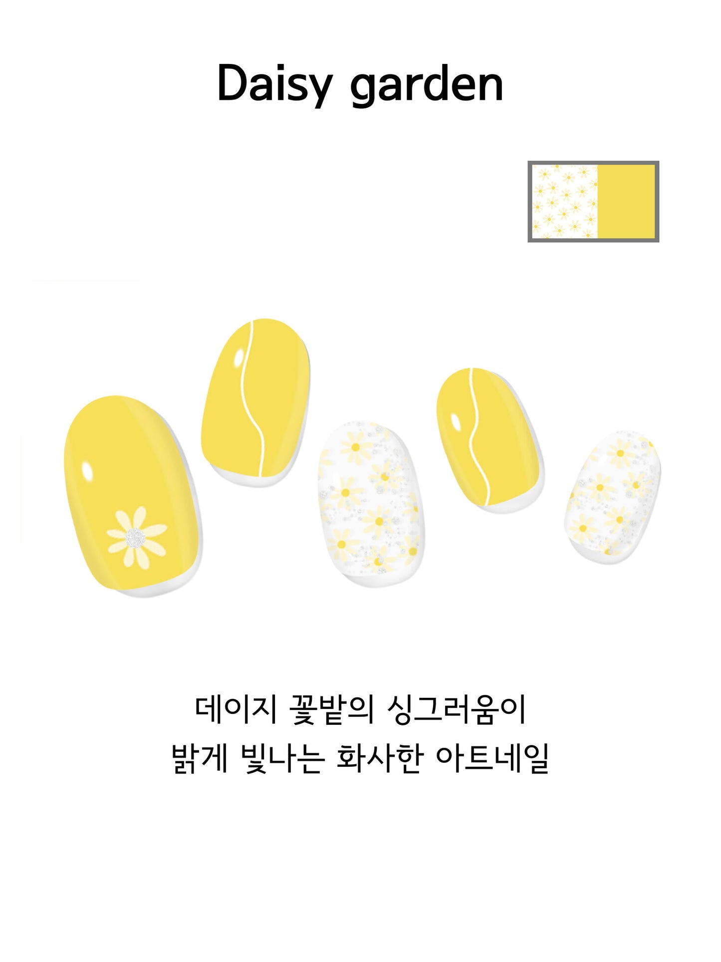 Rozy Edition - 데이지가든[Daisy Garden]