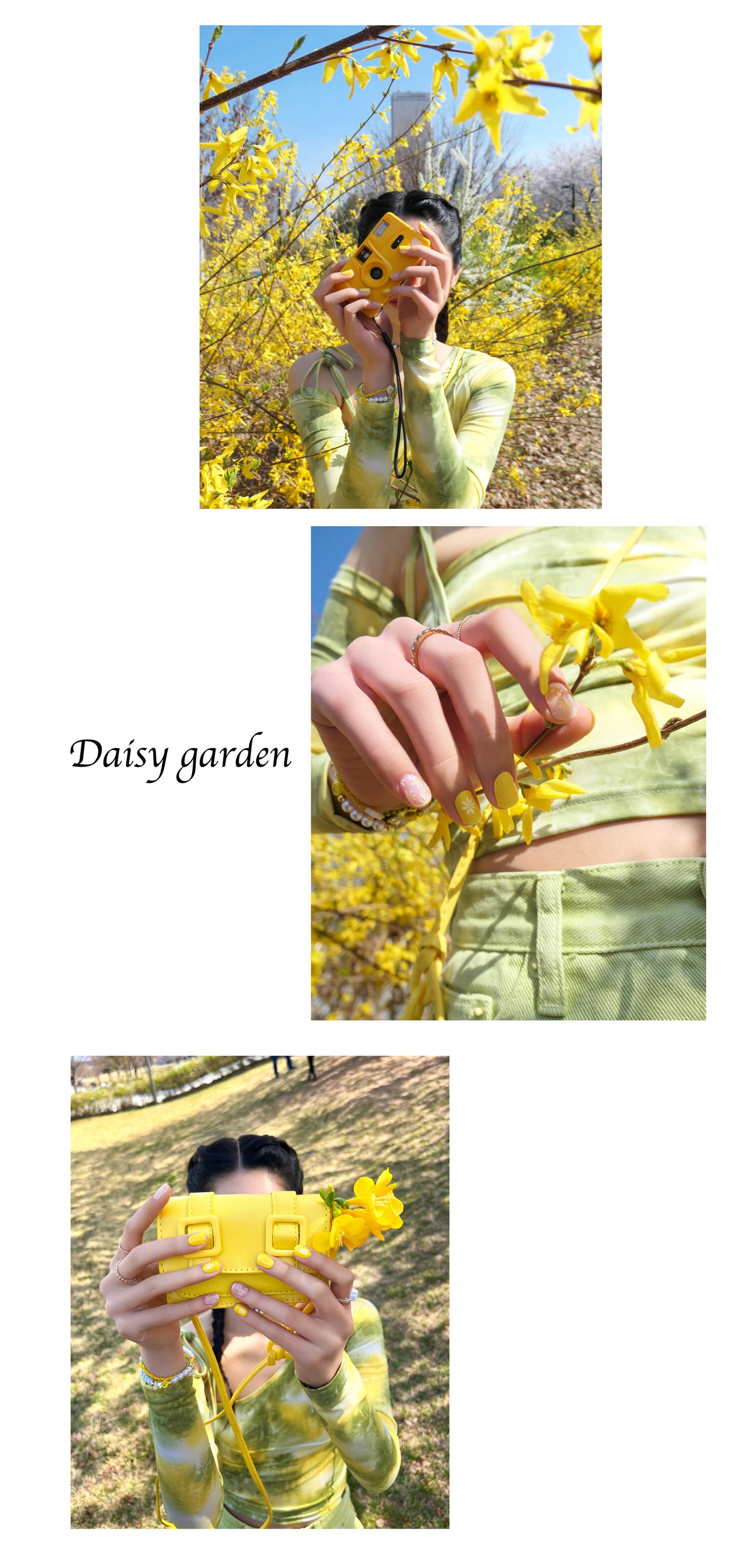 Rozy Edition - 데이지가든[Daisy Garden]